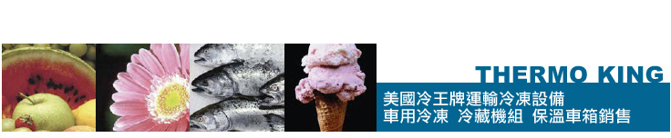 冷凍貨運, 低溫物流, 物流保溫箱